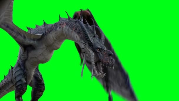 フライング ホラー ドラゴン ファンタジーコンセプト — ストック動画