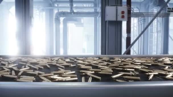 Kogelproductie Fabriek Productielijn Oorlogsconcept — Stockvideo