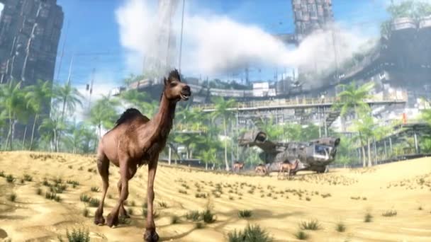 Καμήλα Περπάτημα Φουτουριστική Έρημο Πόλη Μελλοντική Ιδέα Ρεαλιστικό Animation — Αρχείο Βίντεο