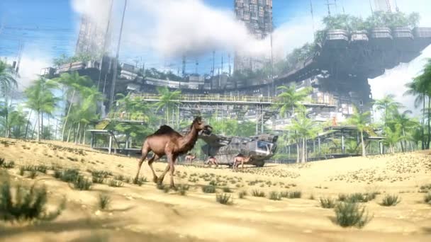 Kamelpromenader Futuristisk Öken Stad Framtida Koncept Realistisk Animation — Stockvideo