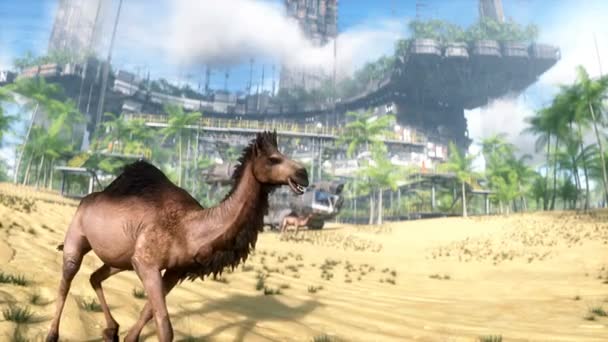 Kamelpromenader Futuristisk Öken Stad Framtida Koncept Realistisk Animation — Stockvideo