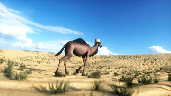 Camello Gracioso Caminando Desierto Renderizado Imagen de archivo