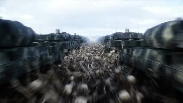 Alman Askeri Tankları Leoparlar Kafatasları Ukrayna Için Yardım Savaş Karşıtı — Stok video