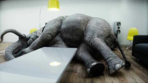 Lustiger Elefant Schläft Zimmer Realistische Animation — Stockvideo