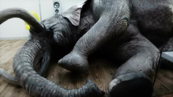 有趣的大象睡在房间里 现实的4K动画 — 图库视频影像