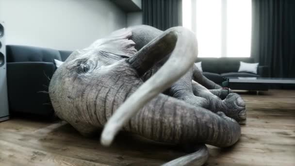 Elefante Divertido Durmiendo Habitación Animación Realista — Vídeo de stock