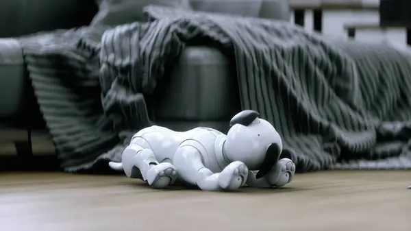 Anjing Pintar Robotik Kecil Yang Lucu Terbangun Dalam Ruangan Stok Gambar