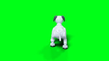 Küçük komik robot akıllı köpek, evcil hayvan. Yeşil Ekran izole et