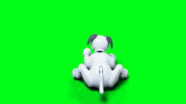 Küçük komik robot akıllı köpek, evcil hayvan. Yeşil Ekran izole et