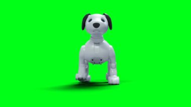 Küçük komik robot akıllı köpek, evcil hayvan. Yeşil Ekran izole et