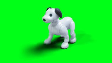 Küçük komik robot akıllı köpek, evcil hayvan. Yeşil Ekran izole et