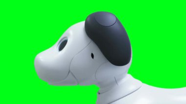 Küçük komik robot akıllı köpek, evcil hayvan. Yeşil Ekran izole et