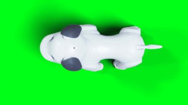 Küçük komik robot akıllı köpek, evcil hayvan. Yeşil Ekran izole et
