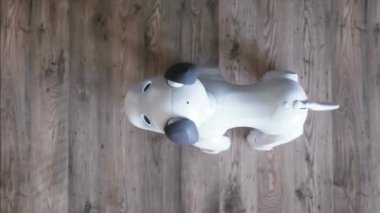 Küçük komik robot akıllı köpek odada uyanıyor..