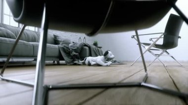 Küçük komik robot akıllı köpek odada uyanıyor..