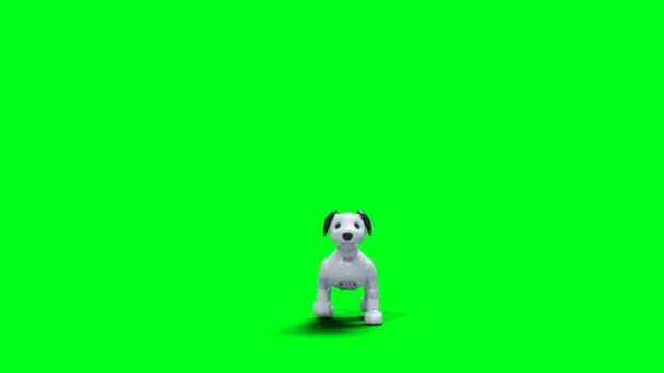 Küçük Komik Robot Akıllı Köpek Evcil Hayvan Yeşil Ekran Izole — Stok video