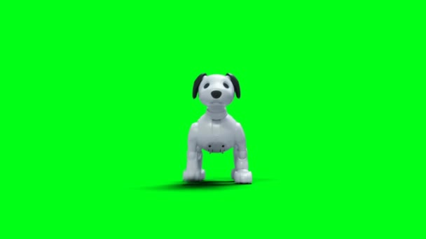 Pequeno Cão Inteligente Robótico Engraçado Animal Estimação Ecrã Verde Isolado — Vídeo de Stock