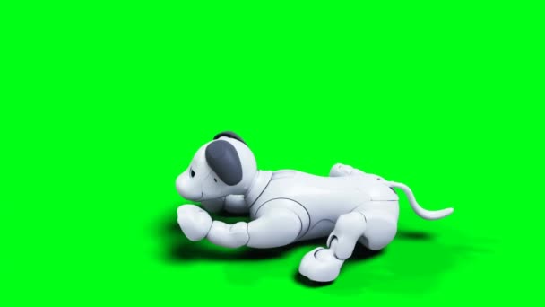 Kis Vicces Robot Okos Kutya Kisállat Zöld Képernyő Izolátum — Stock videók