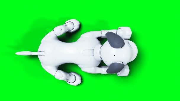 Μικρό Αστείο Ρομποτικό Έξυπνο Σκυλί Κατοικίδιο Ζώο Πράσινο Απομονωθέν Δείγμα — Αρχείο Βίντεο
