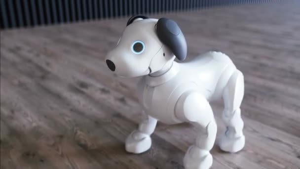 Μικρό Αστείο Ρομποτικό Έξυπνο Σκυλί Ξυπνάει Στο Δωμάτιο — Αρχείο Βίντεο