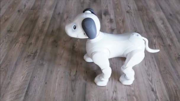 Small Funny Robotic Smart Dog Wakes Room — Stock Video