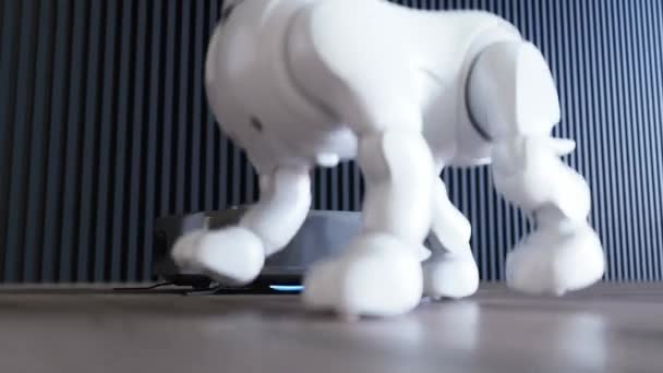Kleine Grappige Robotachtige Slimme Hond Stofzuiger Robot — Stockvideo