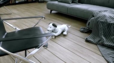 Küçük komik robot akıllı köpek odada uyanıyor..