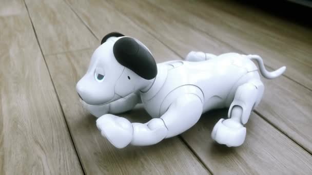 小さな面白いロボットスマートドッグが部屋で目を覚ます — ストック動画
