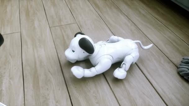 Маленький Смішний Роботизований Розумний Собака Прокидається Кімнаті — стокове відео