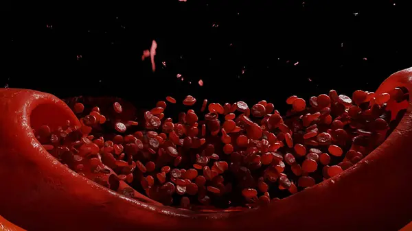 Fluxul Sanguin Globule Roșii Din Sânge Interiorul Corpului Uman Redare fotografii de stoc fără drepturi de autor