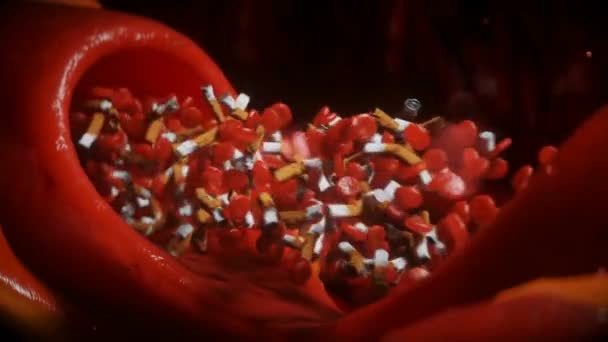 Кровь Окурки Курение Вредит Здоровью Внутри Человеческого Тела — стоковое видео