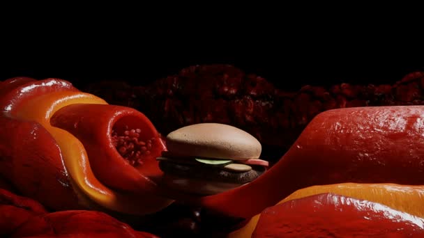 Солодка Їжа Кровотік Холестерин Наліт Тромб Концепція Шкоди Здоров Всередині — стокове відео