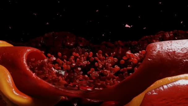 Corrente Sanguínea Glóbulos Vermelhos Dentro Corpo Humano — Vídeo de Stock