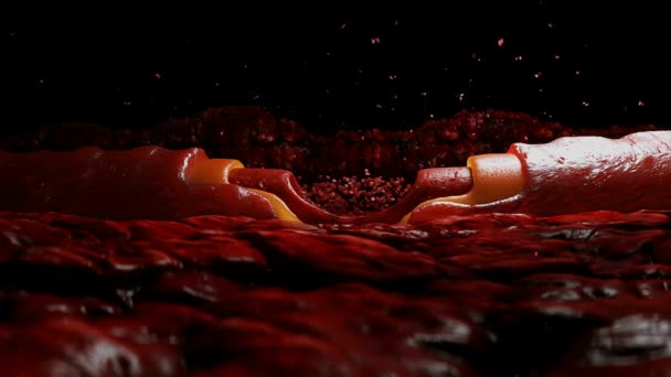 Bloedstroom Rode Bloedcellen Binnenin Menselijk Lichaam — Stockvideo
