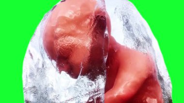 Amniyotik kesede doğmamış bebek fetüs. Gerçekçi yeşil ekran 4k animasyonu