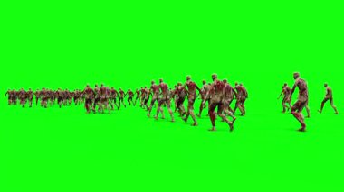 Yürüyen zombi sürüsü. Yeşil ekran. Apokaliptik konsept