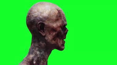 Zombi yeşil ekran gerçekçi 4k animasyon