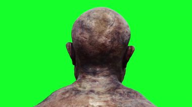 Zombi yeşil ekran gerçekçi 4k animasyon