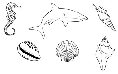 Deniz hayvanları çizilmiş. Köpekbalığı, kabuk, deniz tarağı. Okyanus hayvanlarının ana hatları. Su altı yaşamı.