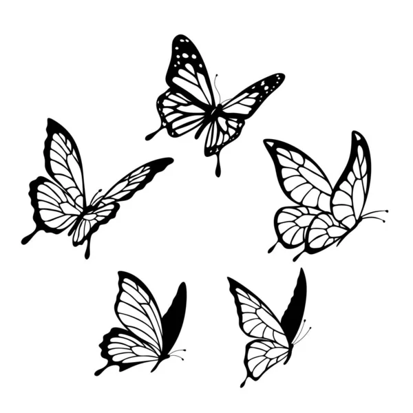Μαύρες Πεταλούδες Σετ Από Ιπτάμενες Πεταλούδες Θερινά Έντομα — Φωτογραφία Αρχείου