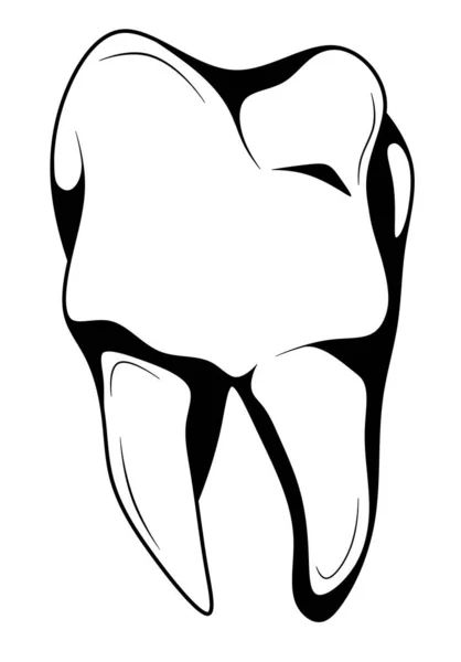Vytažený Černo Bílým Lidským Zubem Molární Zub Dospělého Zubní Ilustrace — Stock fotografie