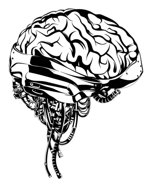 Ізольований Людський Мозок Імплантатами Концепція Кібернетичного Мозку Майбутнього Чорно Біла — стокове фото