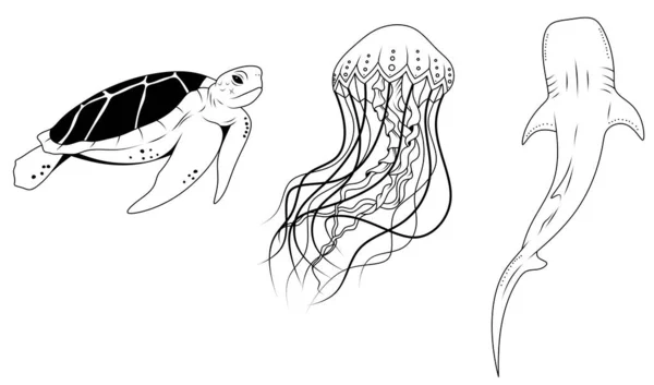 Morskie Stworzenia Zwierzęta Żyjące Oceanie Żółw Meduza Rekin — Zdjęcie stockowe