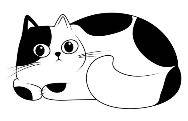 大きな目をしている猫 かわいい猫の黒と白のイラスト ペット カラーリング — ストック写真