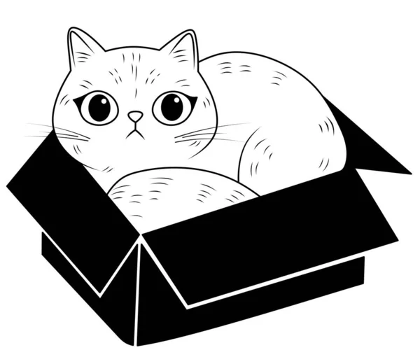 箱の中の大きな目をしている猫 黒い箱に座っているかわいい猫の黒と白のイラスト ペット キャットカラーブック — ストック写真