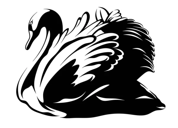 Cisne Negro Isolado Desenhado Grande Ave Aquática Logotipo Cisne — Fotografia de Stock