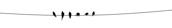 在金属丝上的鸟的轮廓 燕子坐在铁丝上 — 图库照片