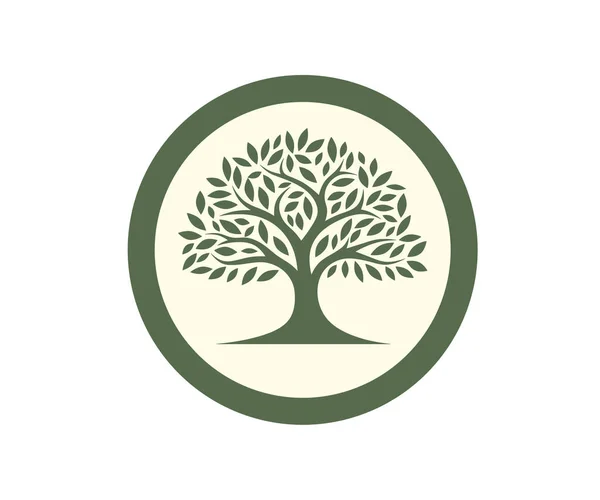 Silueta Aislada Árbol Con Hojas Logo Verde Para Una Empresa — Foto de Stock