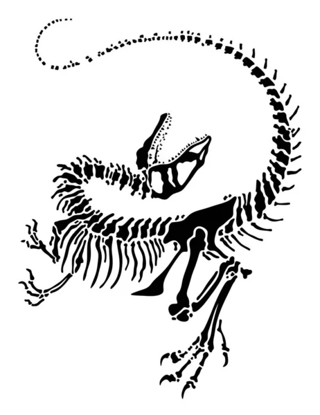 Silhueta Ossos Dinossauro Ossos Teranossauro Negro Isolado Ciência Paleontológica Lagartos — Fotografia de Stock