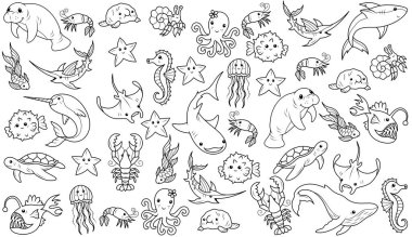 Balıklar ve memeliler. Hayvanlarla geçmiş. Okyanusta yaşayan sevimli, çizilmiş hayvanlar. Köpekbalığı, fok, denizanası, denizyıldızı, ıstakoz, kaplumbağa, balina. Okyanusta ya da denizde vahşi yaşam. Deniz yaşamı.